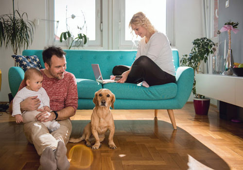 Onlineshop mit Tierfutter und Tierbedarf Onlineshop mit Tierfutter und Tierbedarf