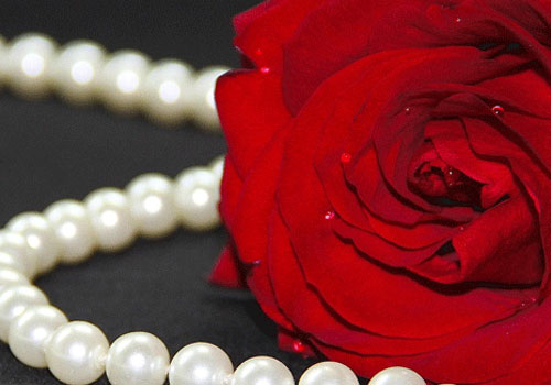 Onlineshop mit Schmuck Onlineshop mit Schmuck