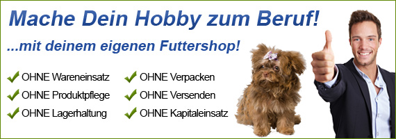 Lizenzo.de - Dein Onlineshop